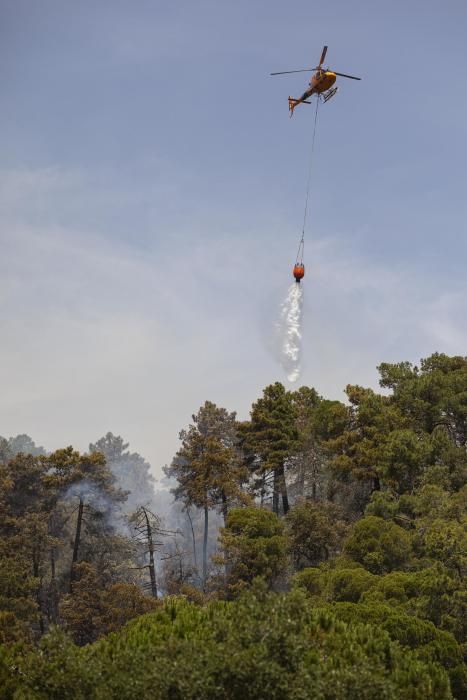 Incendi forestal en una urbanització de Lloret