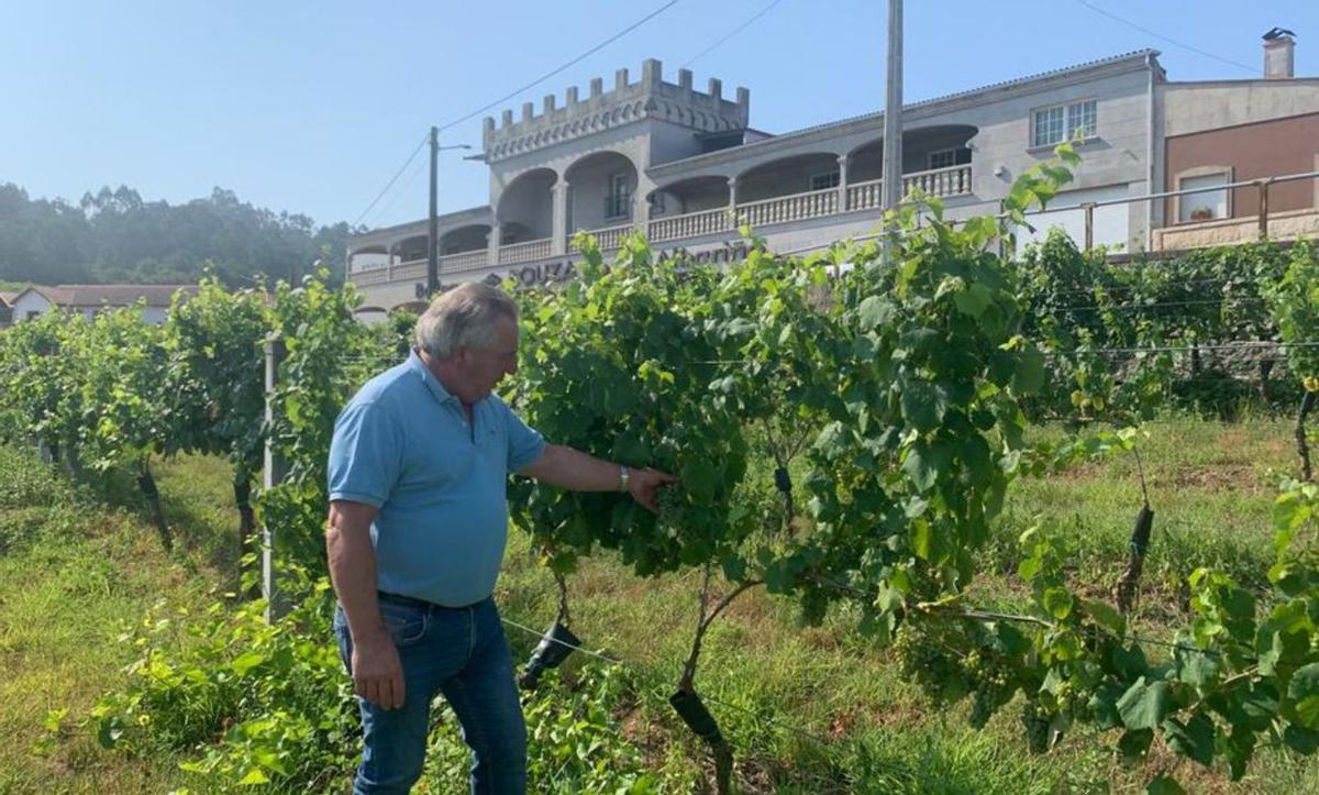El sector insiste en destacar la calidad de la uva. |   //  IÑAKI ABELLA