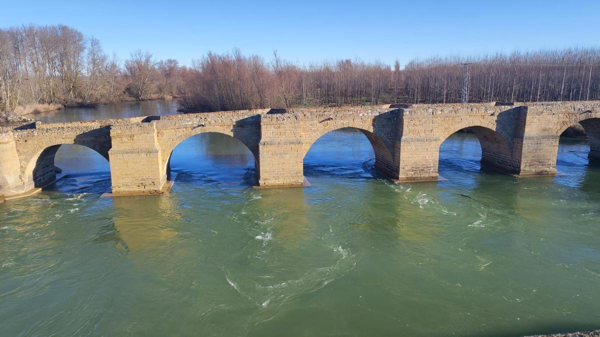 Imagen de hoy del puente sobre el río Esla, en Castrogonzalo, tras la limpieza realizada.