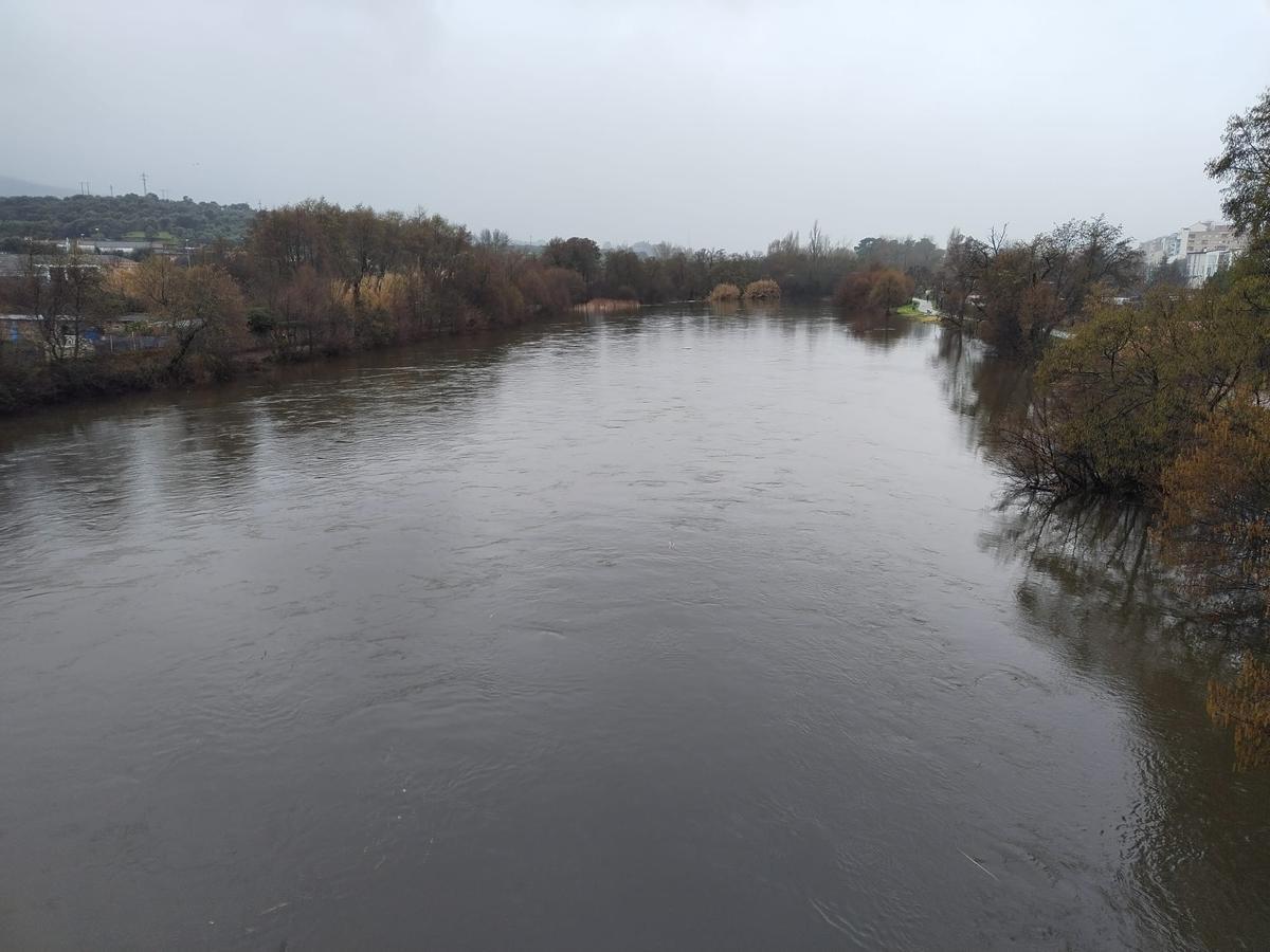 Río Jerte a su paso por Plasencia, tras las lluvias del martes.