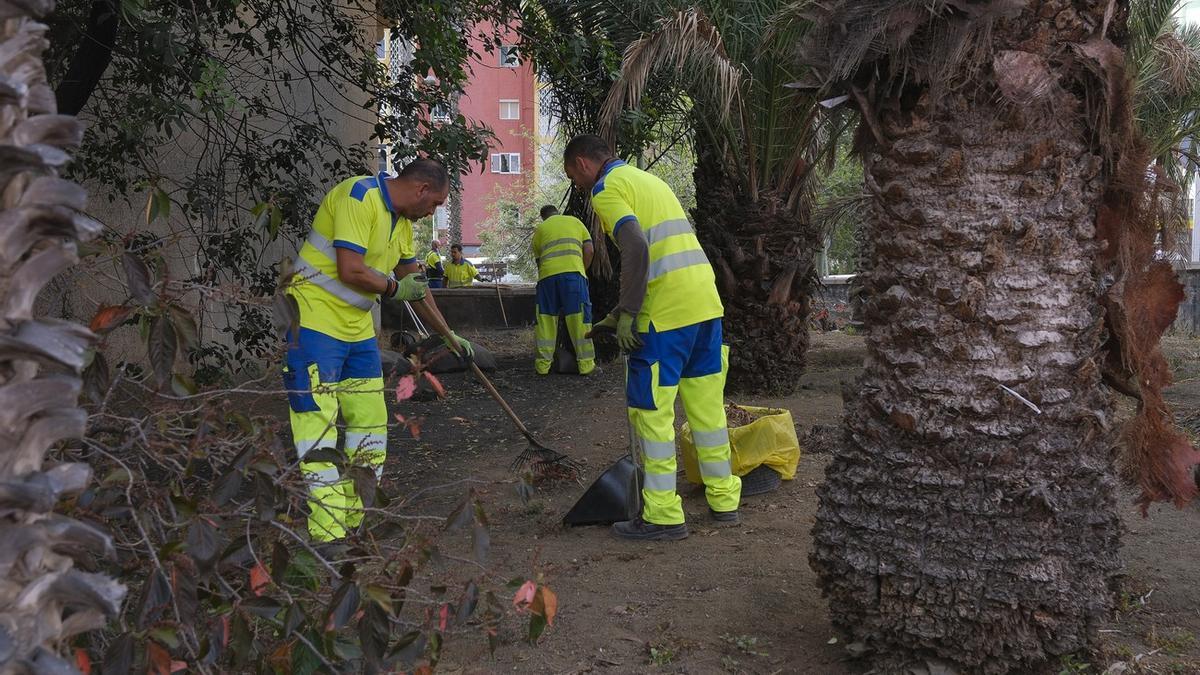Tareas de limpieza del Plan de Higiene Urbana en Las Chumberas