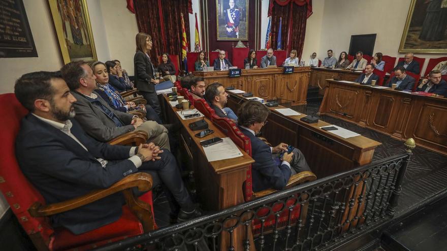 La edil de Participación Ciudadana y Distritos, Loli Serna, defendió en el último pleno el punto sobre la nueva ordenanza. | ANTONIO AMORÓS