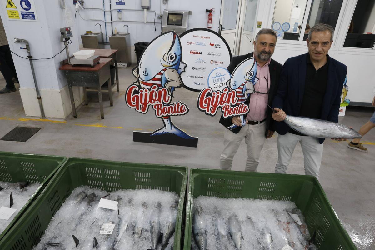 EN IMÁGENES: El primer bonito de la temporada ya está en Gijón: 2.217 kilos de "pescado del Cantábrico y de gran calidad"