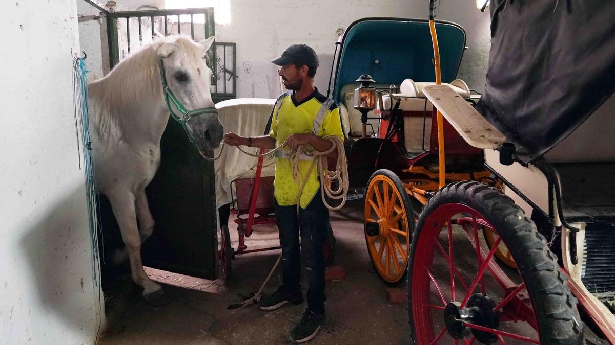 Cuadras de Teatinos donde un cochero encierra a su caballo.