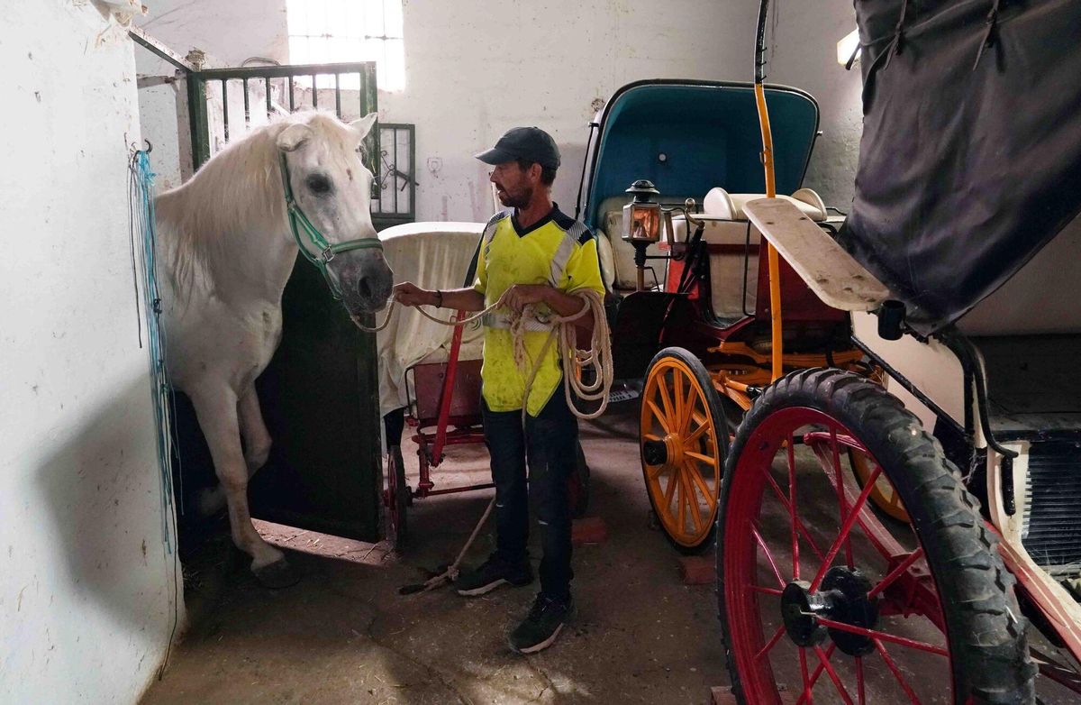 MLG 06-10-2025.-Varios operarios pintan nuevas líneas de prohibido aparcar en la antigua parada de caballo que había en la entrada del parque, y en las cuadras de Teatinos un cochero encierra a su caballo. El Ayuntamiento de la capital hizo un decreto prohibiendo los coches de caballos.