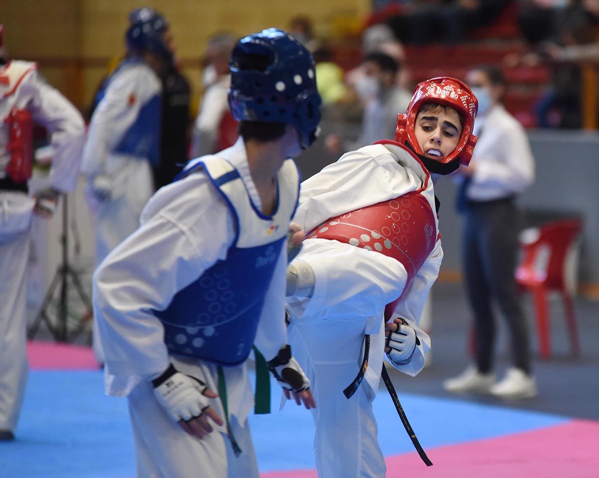 Open Internacional de Taekwondo de Córdoba en imágenes