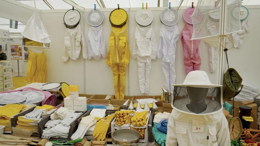 El futuro negro de los apicultores extremeños: "Producir un kilo de miel nos cuesta 3,65 y entran de otros países por debajo de los 2 euros"