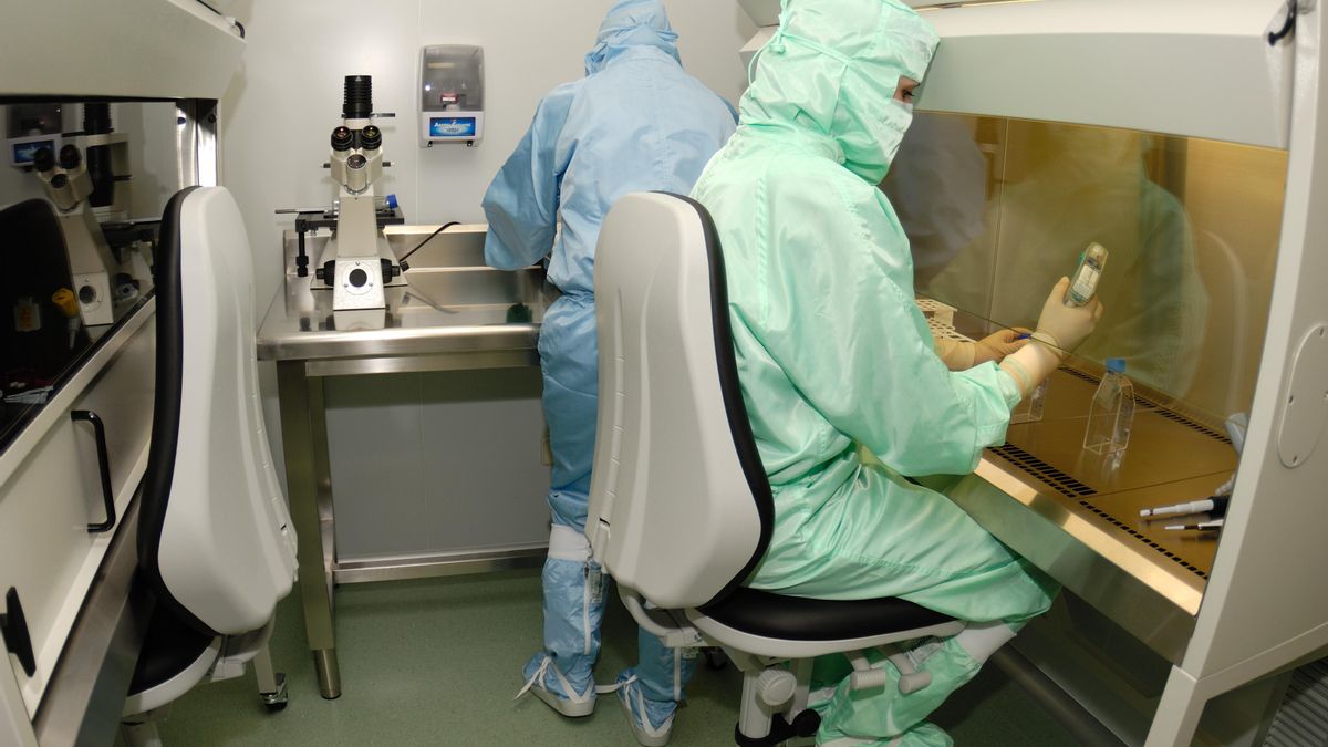 Un total de 170 investigaciones y más de 21.600 genomas secuenciados tras dos años de pandemia.