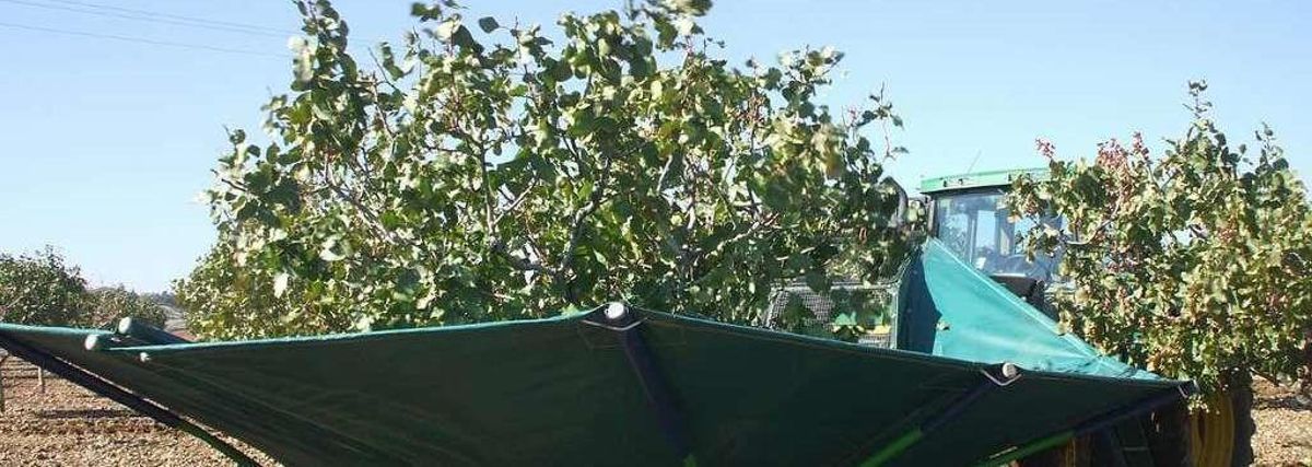 Naturduero pondrá en marcha este año una planta procesadora de pistachos