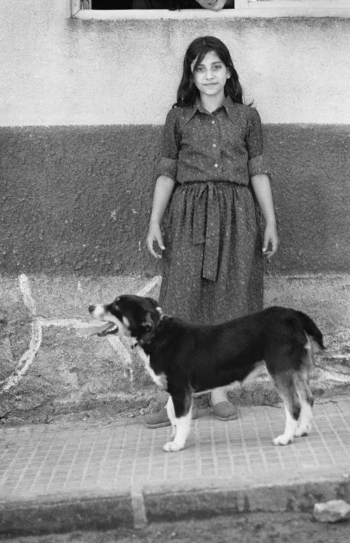 La búsqueda dezana de Ton van Vliet