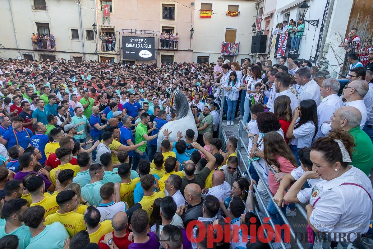 Entrega de premios del concurso morfológico de los Caballos del Vino de Caravaca