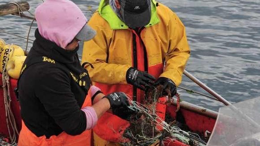 Dos marineros recogen centollas en una ría gallega.