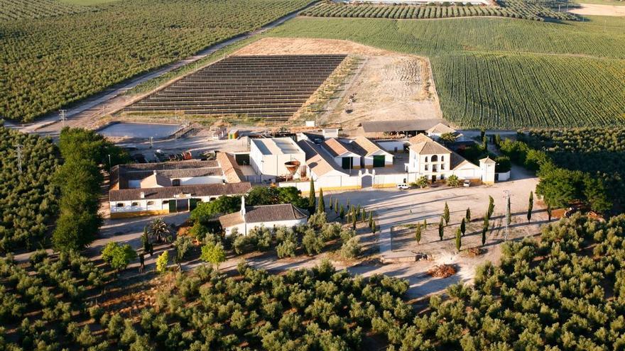 Almazaras de Córdoba