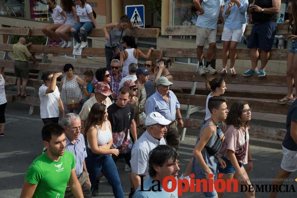 Séptimo encierro en Moratalla