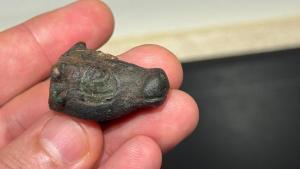 Descobreixen un excepcional cap de bou en miniatura a la serra de Tramuntana