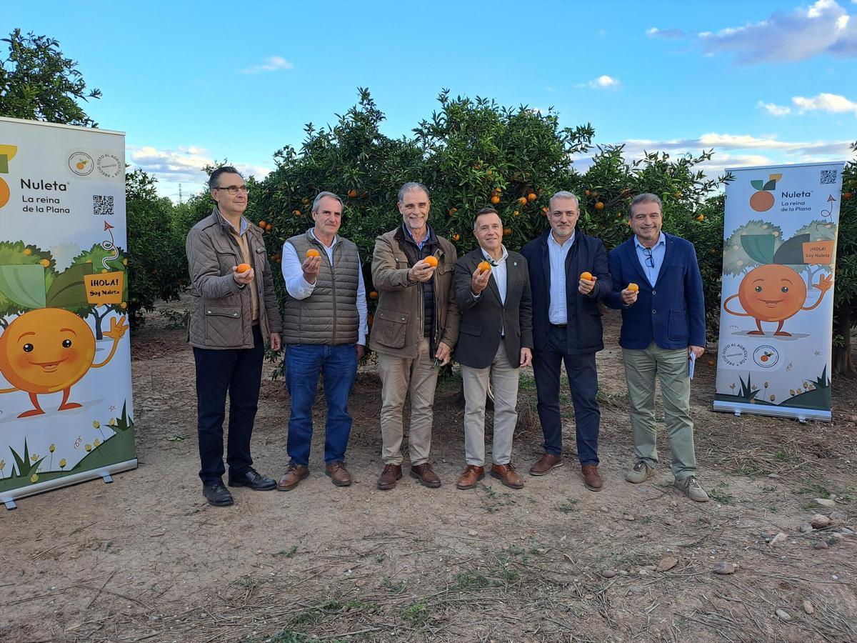 Foto de familia del primer corte de Nuleta, que tenido lugar este jueves en Burriana.
