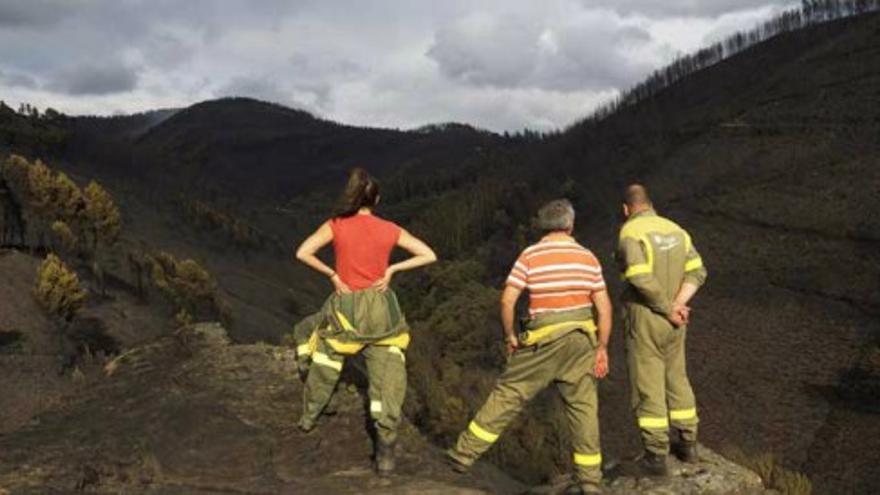 El 90% de los incendios de Galicia son intencionados, según la Xunta