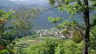 Un joven hereda este «minipueblo» en Galicia y busca vecinos: casas en venta por 7.000 euros