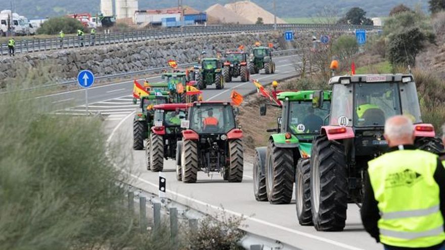 Planas abordará en dos reuniones el futuro del sector tabaquero