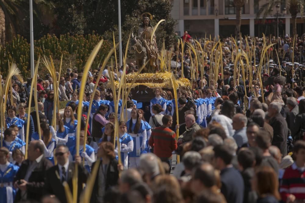 Domingo de Ramos en Elche