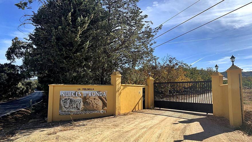 Entrada a la  finca ‘La Molinilla’. | L.O.