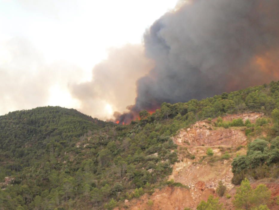 Incendio forestal en Artana