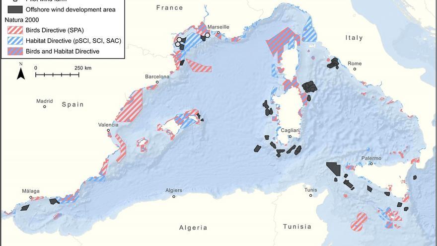 Nou zones destinades a l&#039;eòlica marina se solapen o limiten amb àrees protegides per Natura 2000, segons un estudi