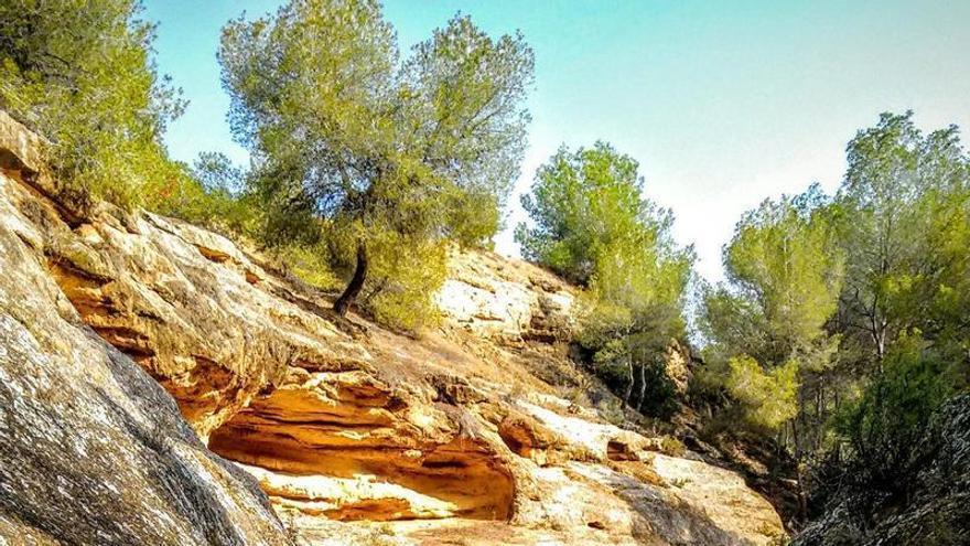 Cinco proyectos de plantas solares cercan al paraje del Hoyo Serrano