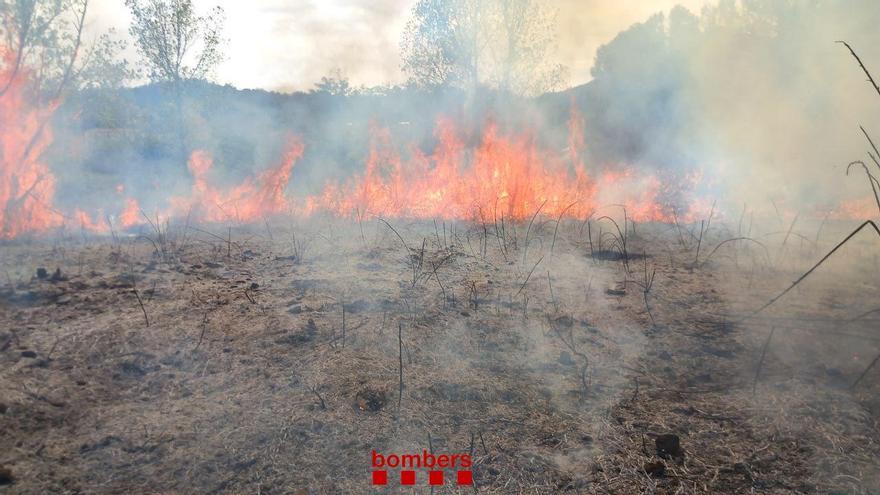 L&#039;incendi de vegetació agrícola a Anglès ha cremat 5.000 m2