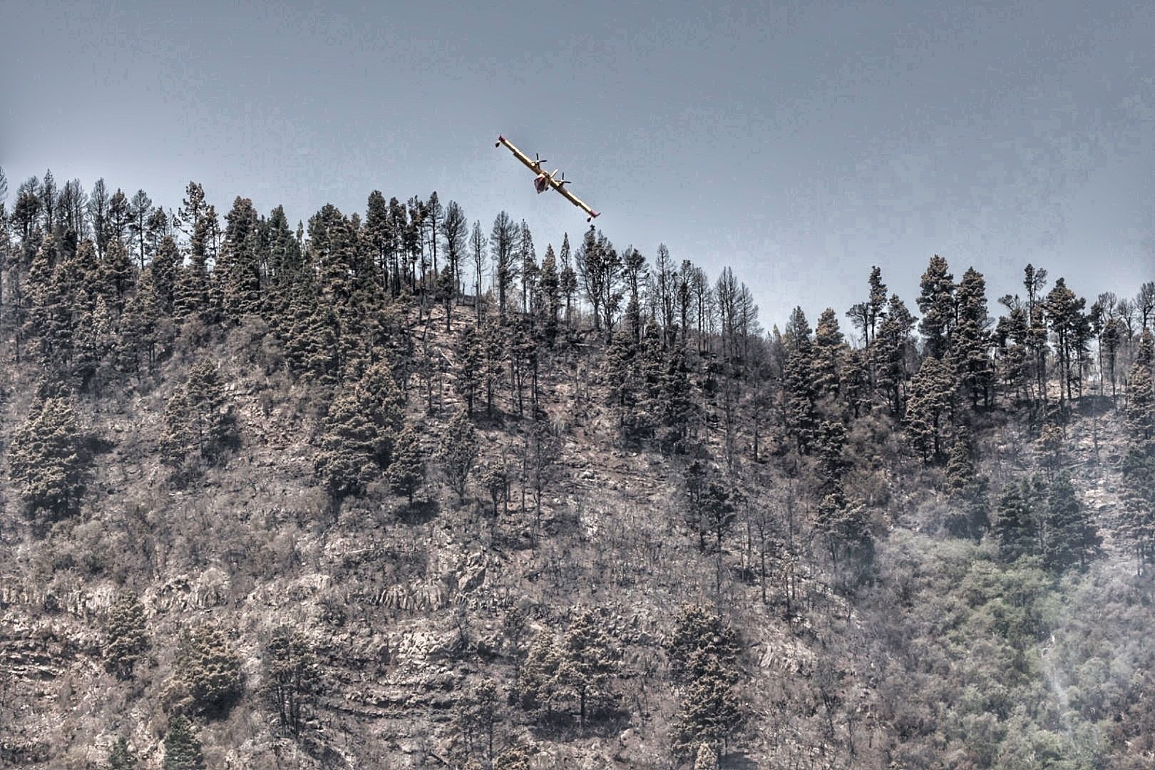 Siguen las tareas de extinción del incendio de Tenerife