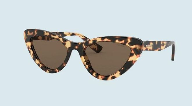 Con montura 'animal print'