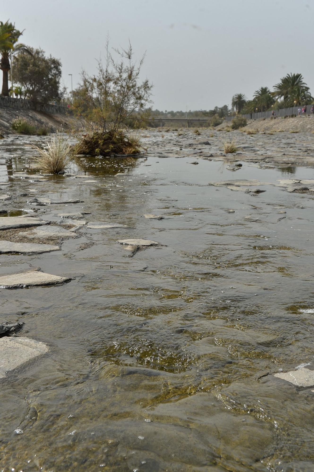 La Charca de Maspalomas después del ciclón Hermine