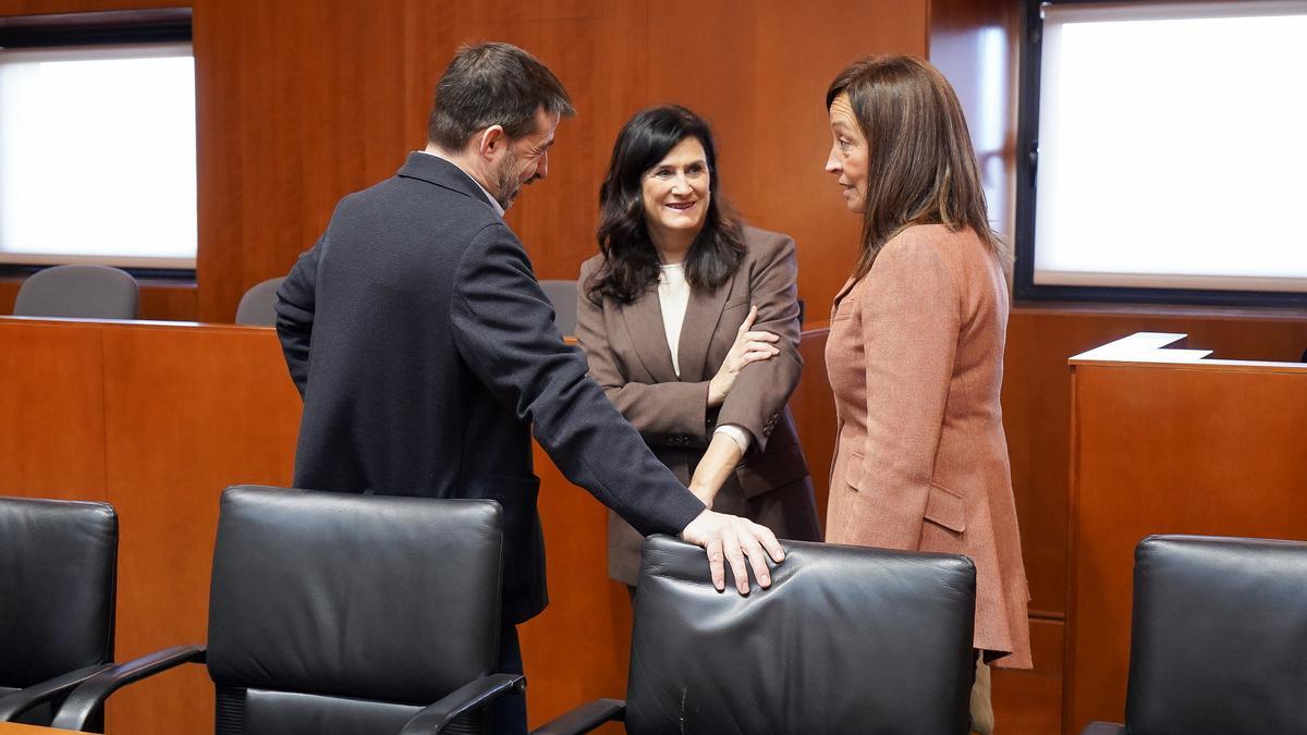 La consejera de Bienestar Social y Familia, Carmen Susínm en las Cortes de Aragón.