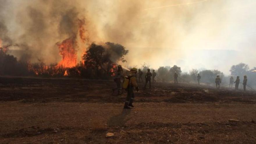 Tensión en un incendio forestal provocado en Las Torres de Aliste