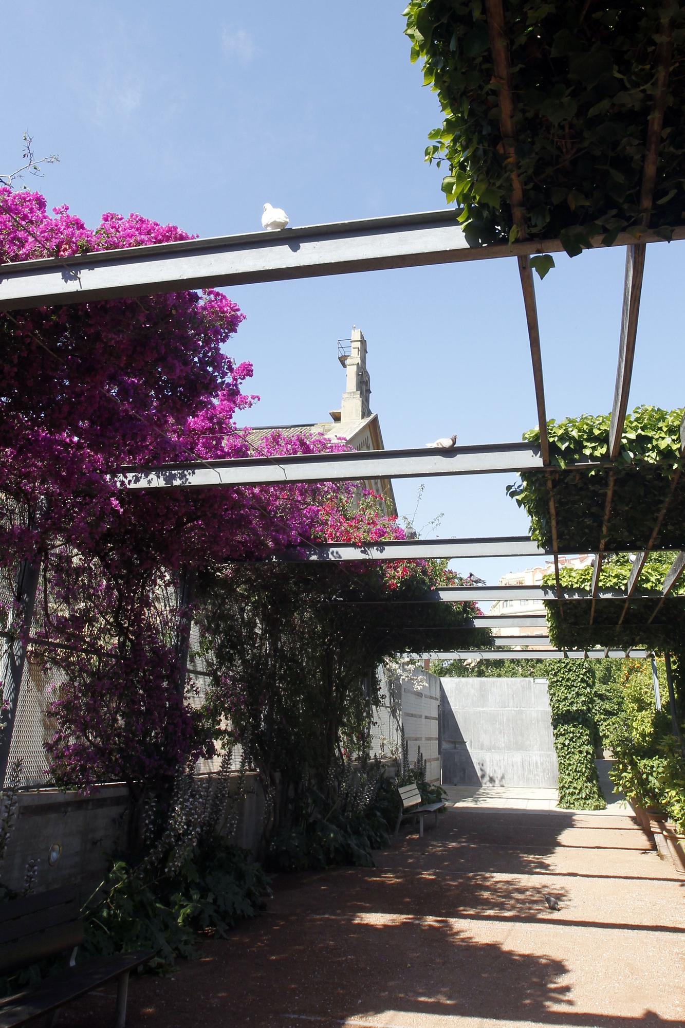 El Jardín de las Hespérides: un parque custodiado por las Ninfas