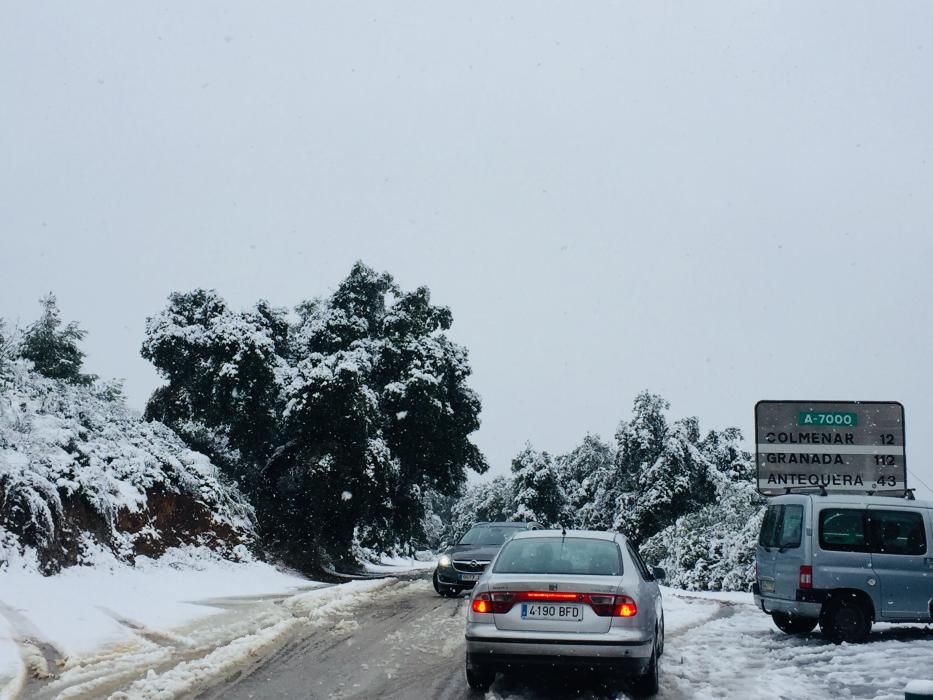 Las primeras nevadas llegan al Puerto del León, en los Montes de Málaga, que se sitúa a 900 metros de altura