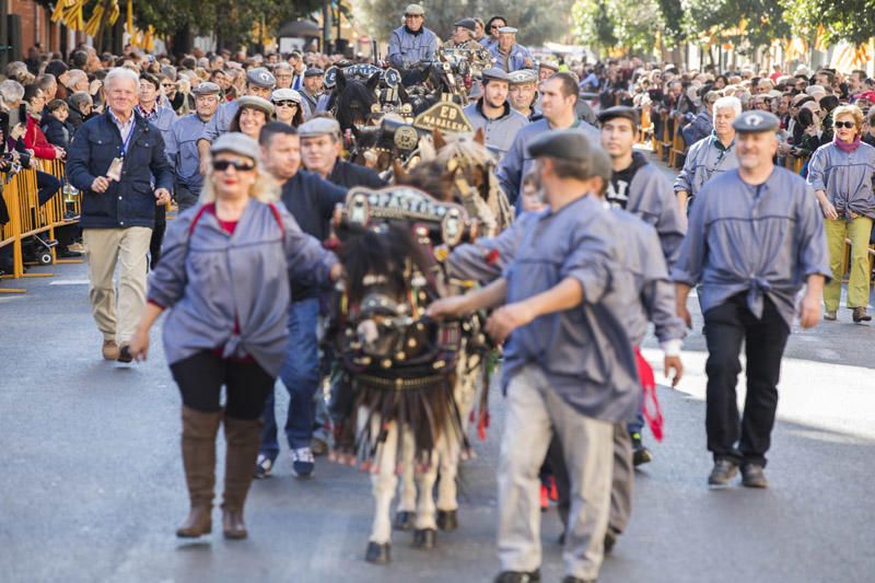 Bendición de animales por Sant Antoni del Porquet