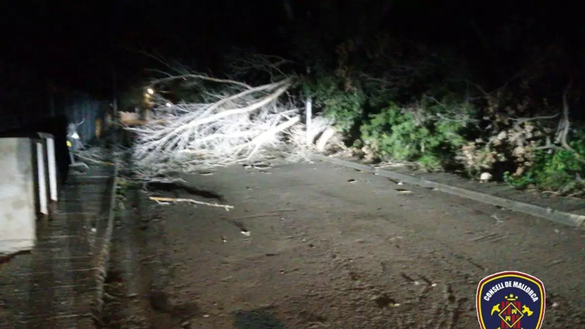 El vendaval provoca diversos incidentes en Mallorca