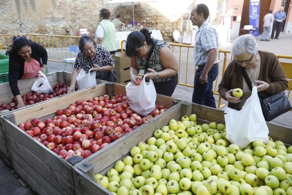 Onzena edició de la fira i mercat de la Poma d'Ullà