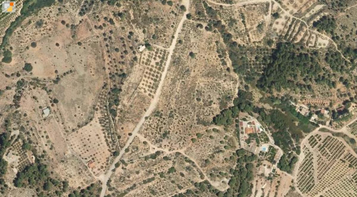 Terrenos donde se proyectaba la planta solar en Rotglà i Corberà.