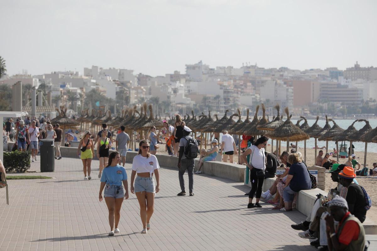 El Consell lamenta la intencionalidad política del informe de los socialistas sobre el alza de plazas turísticas