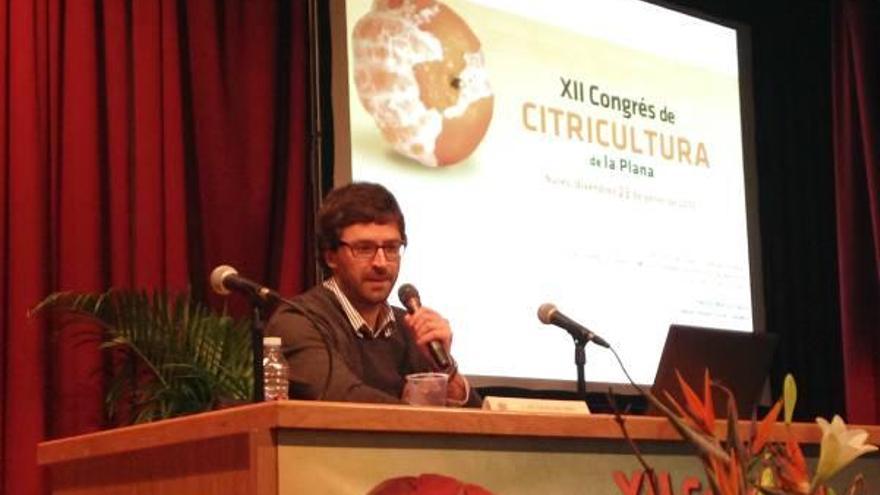 El XII Congreso de Citricultura reúne a 340 personas en Nules