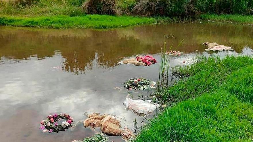 Restos de animales y objetos vertidos en el río Viar en Cantillana (Foto: Asociación Animalista de Cantillana Vidanimalis).