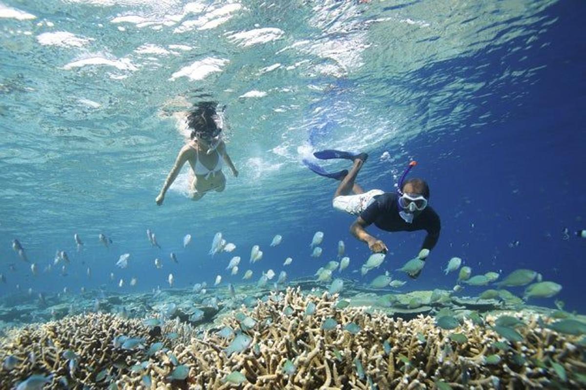 Buceo en las islas Maldivas