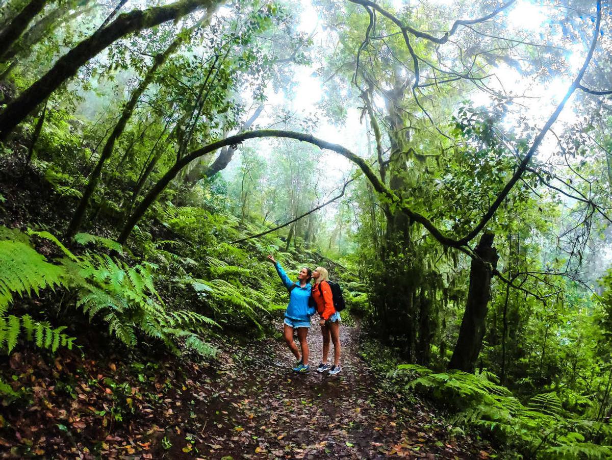 La Gomera: un destino para reconectar