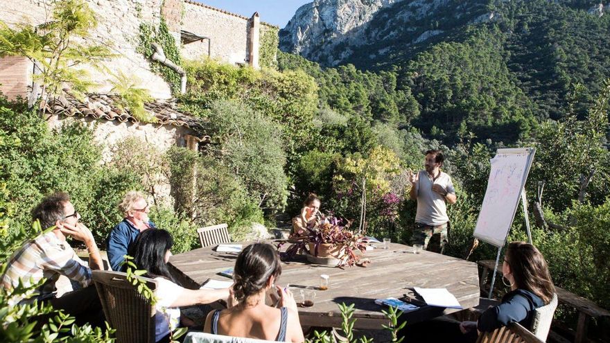 El arte y el campo se dan la mano en Ibiza