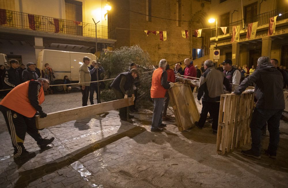 Sant Antoni arranca en Sagunt con la tradicional Plantà del Pi