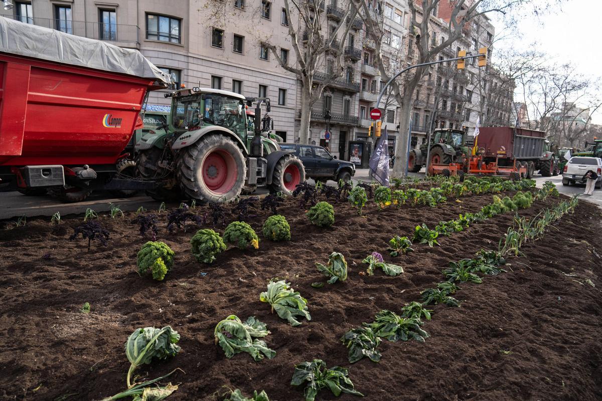 Tractorada en el centro de Barcelona, este viernes.