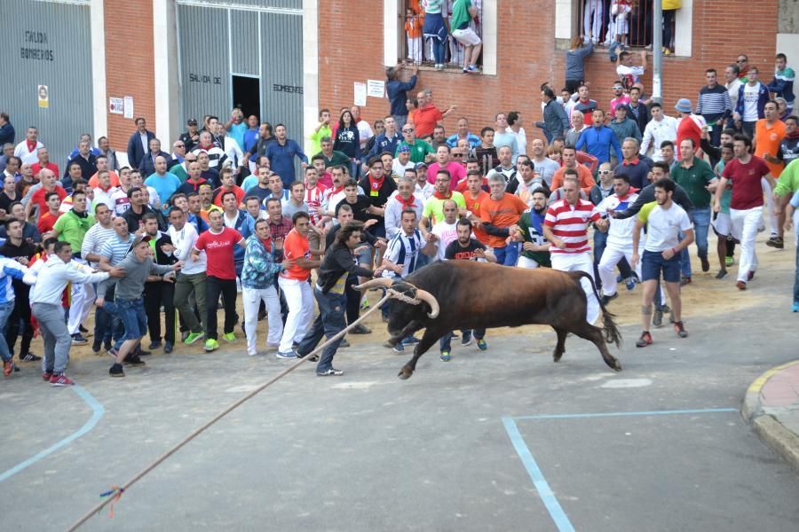 Enmaromado 2016: Lechugazo da la talla