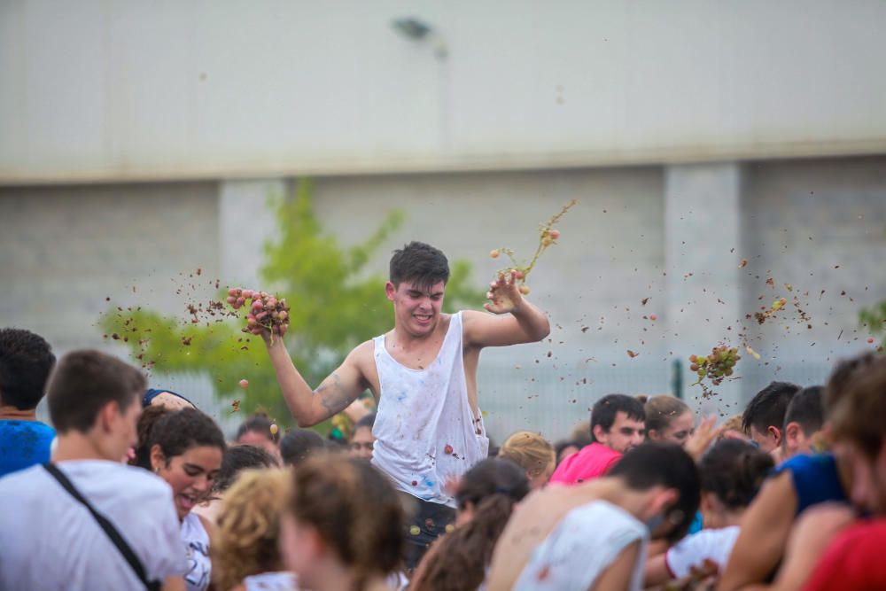 La batalla de los 18.000 kilos de uvas en Binissalem